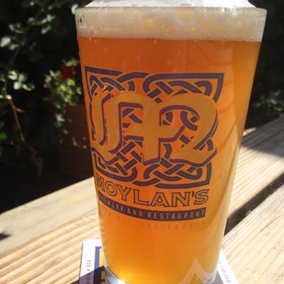$5 Pints All Day!