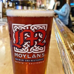 Moylan’s has 12 beers on tap made right here on the premises by our talented Br…