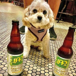 Mojo is standing guard of her Father’s bottles of Moylan’s Hop Craic Quad IPA! …